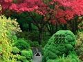 Jwèt Download jwèt la Maple Leaf Jaden chape  sou entènèt
