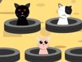 Jwèt Jwèt Trape chat  sou entènèt