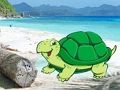 Jwèt Sou entènèt jwèt Beach krab pè chape  sou entènèt