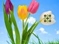 Jwèt Sou entènèt jwèt Flower Lawn sove  sou entènèt