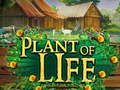 Jwèt Plant nan lavi  sou entènèt