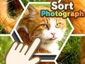 Jwèt Triye Foto  sou entènèt