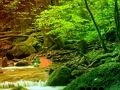 Jwèt Sou entènèt jwèt Peaceful Rainbow Forest chape  sou entènèt