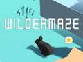 Jwèt Wildermaze sou entènèt