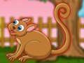 Jwèt Sou entènèt jwèt Cute Tarsier chape  sou entènèt