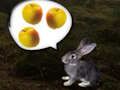 Jwèt Sou entènèt jwèt Foggy forè a  sou entènèt