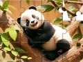 Jwèt Jwèt Devinèt tèt: panda sou pye bwa  sou entènèt