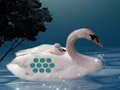Jwèt Sove timoun nan manman Swan  sou entènèt