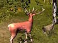 Jwèt Sou entènèt jwèt Stag Hunt  sou entènèt