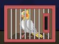 Jwèt Lage zwazo cockatiel la  sou entènèt