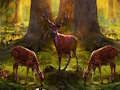Jwèt Sou entènèt jwèt Dangerous Hunter Animal sove  sou entènèt