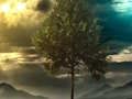Jwèt Sou entènèt jwèt Illusion Jungle Fairy chape  sou entènèt