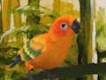 Jwèt Jwèt Cute Budgie devinèt  sou entènèt