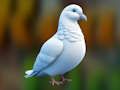 Jwèt Reyalis Pigeon Sekou  sou entènèt