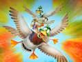Jwèt Sou entènèt jwèt Migrasyon Flappy Duck  sou entènèt