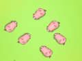 Jwèt Sove Piggies yo  sou entènèt