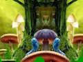 Jwèt Sou entènèt jwèt Fantasy Peacock Family Escape  sou entènèt
