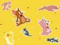 Jwèt Montre Tom ak Jerry Jwenn li!  sou entènèt
