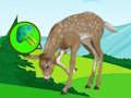 Jwèt Sou entènèt jwèt Deer Meadow chape  sou entènèt