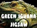 Jwèt Sou entènèt jwèt Green Iguana Jigsaw  sou entènèt