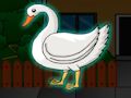 Jwèt Jwe sou entènèt jwèt gratis Sekou zwazo a Swan  sou entènèt