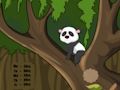 Jwèt Sou entènèt jwèt Panda Jungle chape  sou entènèt