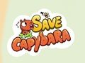 Jwèt Sove Capybara la  sou entènèt