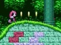 Jwèt Mighty & Ray nan Sonic 2 sou entènèt Jwèt Mighty & Ray nan Sonic 2 sou entènèt
