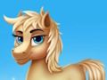 Jwèt Sou entènèt jwèt Ponyville Adventure Great Unicorn Awakening  sou entènèt