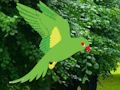 Jwèt Download jwèt Jako Jwenn nich la  sou entènèt