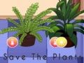 Jwèt Sove plant yo  sou entènèt