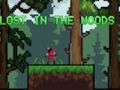 Jwèt Pèdi nan Woods yo  sou entènèt