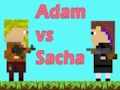Jwèt Adan kont Sacha  sou entènèt