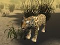 Jwèt Afriken Cheetah Lachas Similatè  sou entènèt