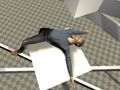Jwèt Tès Ragdoll  sou entènèt