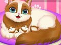 Jwèt Jwèt Cute Kitty ansent  sou entènèt