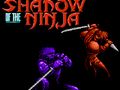 Jwèt Sou entènèt jwèt Lonbraj nan Ninja la  sou entènèt