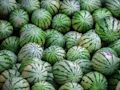 Jwèt Jwèt Tèt melon  sou entènèt
