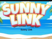Jwèt Sunny Link sou entènèt