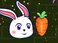 Jwèt Quest la pou Konesans  sou entènèt