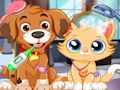 Jwèt Sou entènèt jwèt Puppy Pet Veterinè Swen  sou entènèt