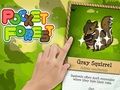 Jwèt Sou entènèt jwèt Pocket Forest  sou entènèt