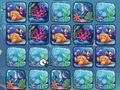 Jwèt Sou entènèt jwèt Reef Koulè defi  sou entènèt