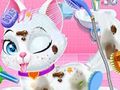 Jwèt Ti bebe Bèt bèt kay Veterinè Swen  sou entènèt