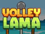 Jwèt Volley Lama sou entènèt