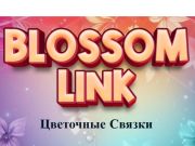 Jwèt Link Blossom sou entènèt