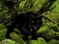 Jwèt Chape soti nan Black Panther Forest  sou entènèt