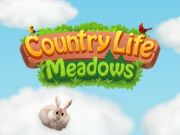 Jwèt Lavi Peyi Meadows  sou entènèt