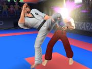 Jwèt Sou entènèt jwèt Karate konba  sou entènèt