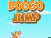 Jwèt Doggo so  sou entènèt
